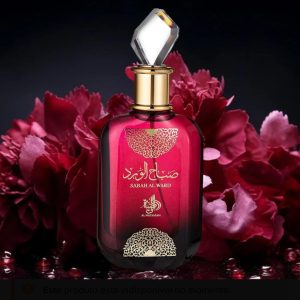 Imagem do WhatsApp de 2025-09-12 à(s) 19.30.57_18597745