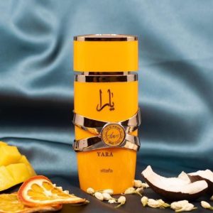 Imagem do WhatsApp de 2025-09-15 à(s) 09.02.32_e7793fef